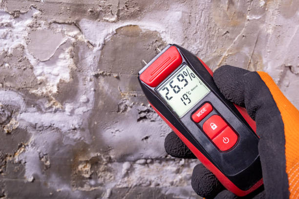 Best Mold Testing and Inspection Services in Glenwood, GA