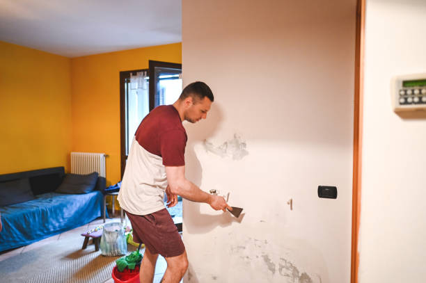 Best Crawl Space Mold Remediation in Glenwood, GA